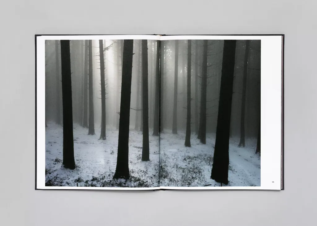 LM-Stephan-Crasneanscki-The-Encounter-13