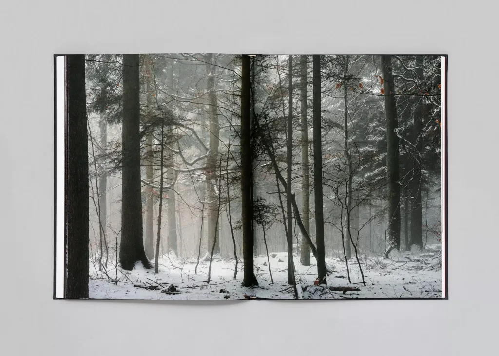 LM-Stephan-Crasneanscki-The-Encounter-17