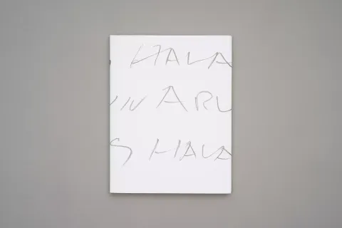LM-Francois-Halard-56-Days-in-Arles-02