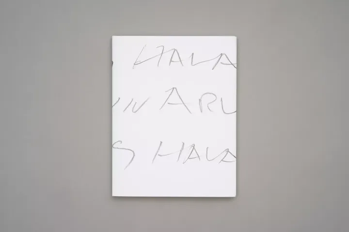 LM-Francois-Halard-56-Days-in-Arles-02