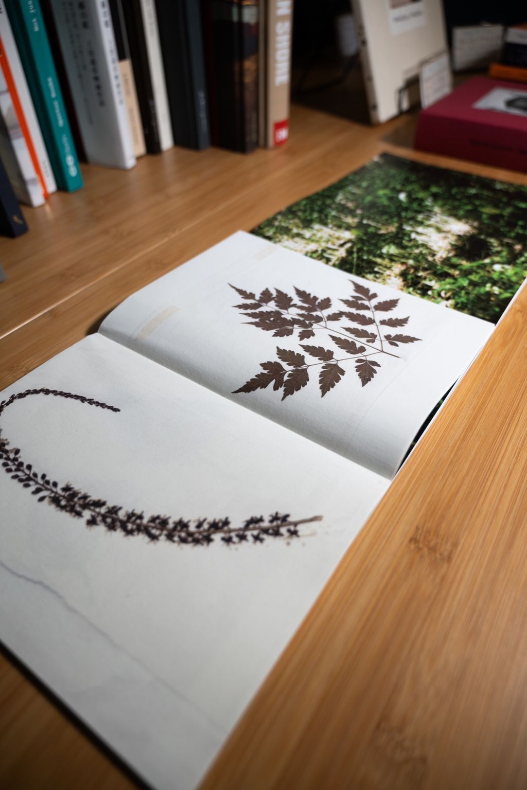 LINE_ALBUM_240125_5