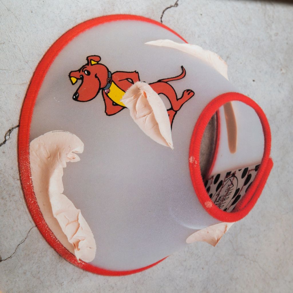 LINE_ALBUM_240202_3