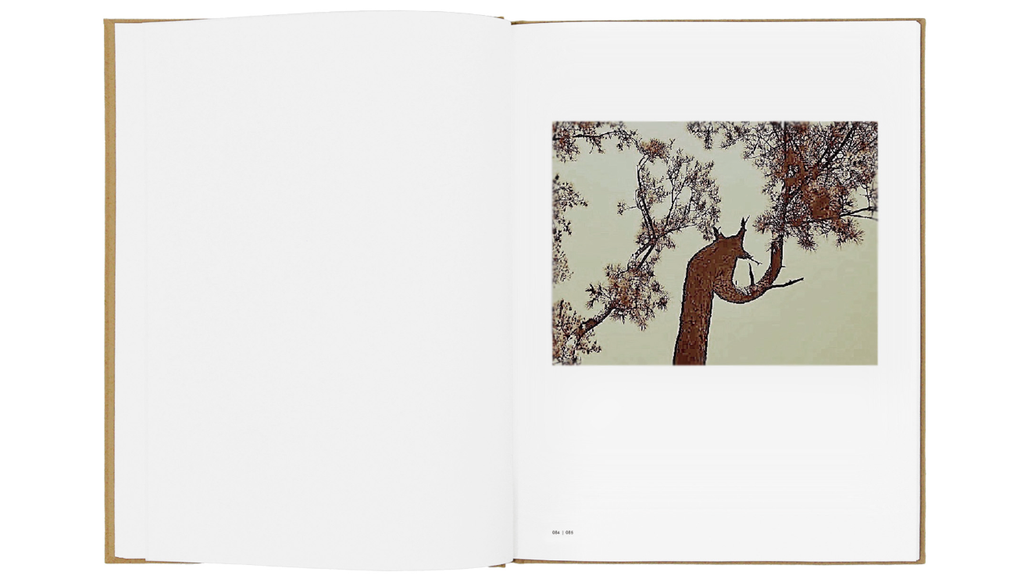 截圖 2024-05-24 下午2.29.13
