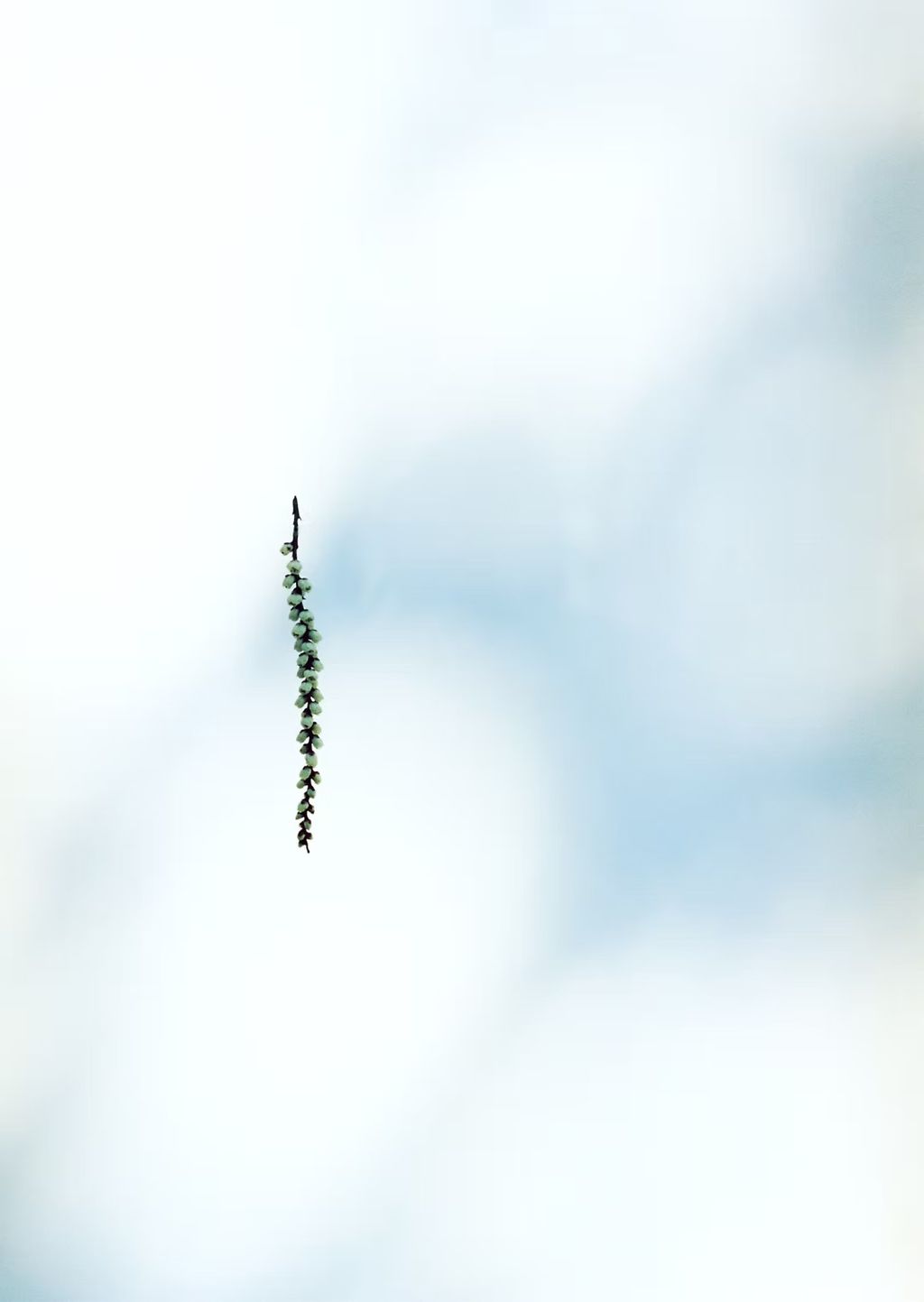 9b9089_a79dd407f565412c96a9db3f5b08ff2c~mv2