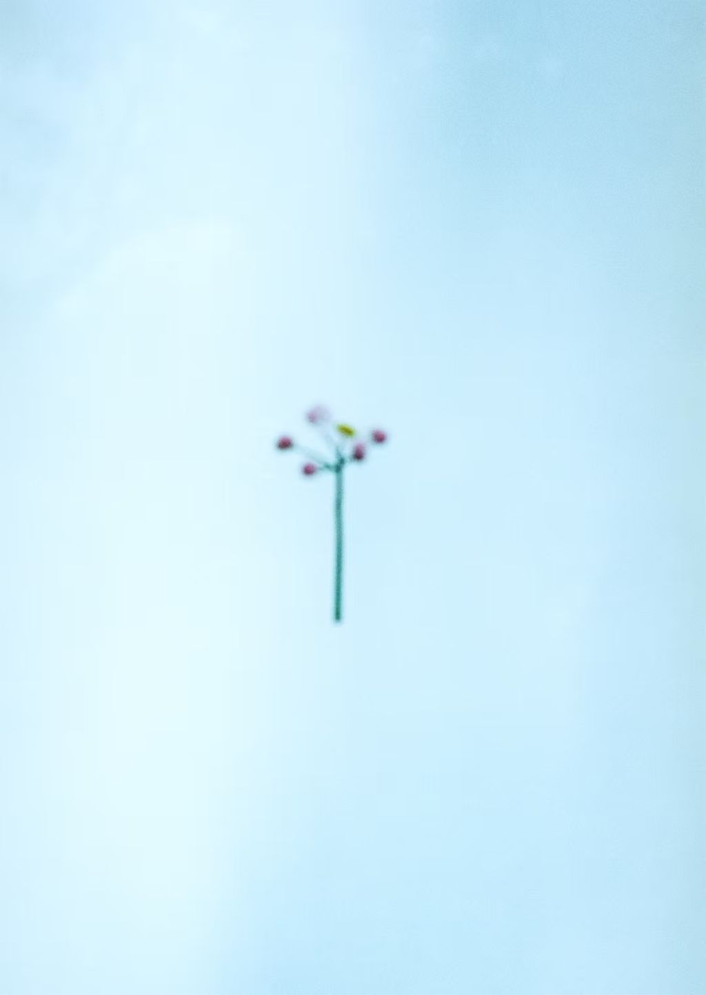 9b9089_5a287650659d4009820c7555d36ff24f~mv2