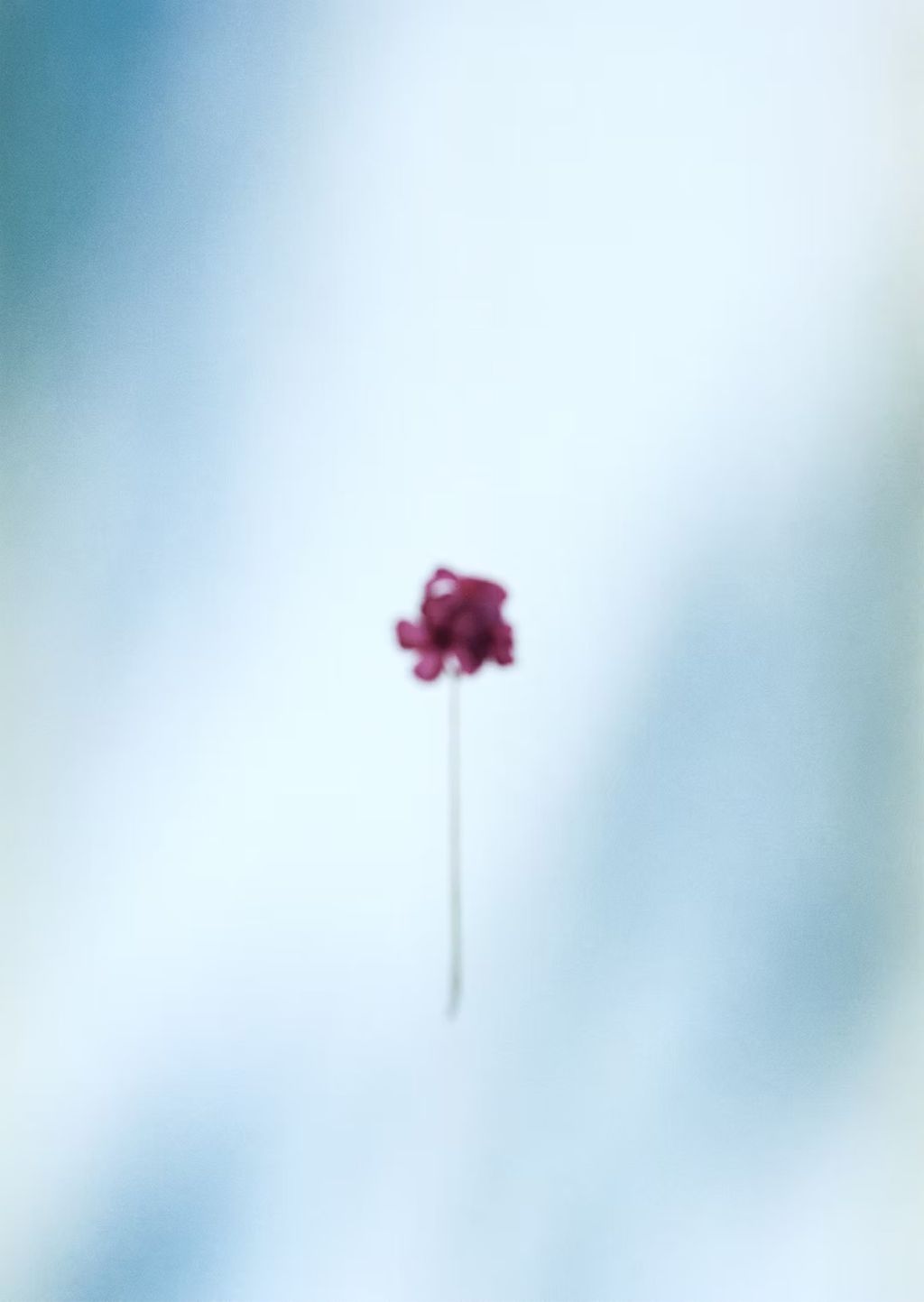 9b9089_32e1461efe4f41c48ca8c7d8473c2214~mv2