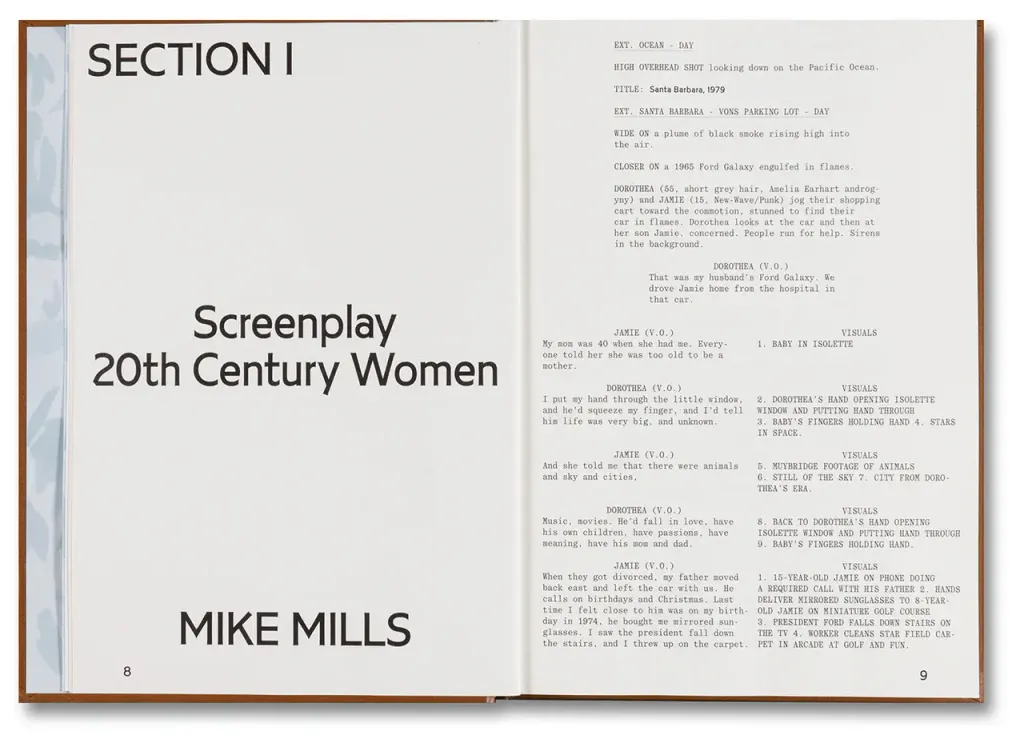 20thCenturyWoman_2