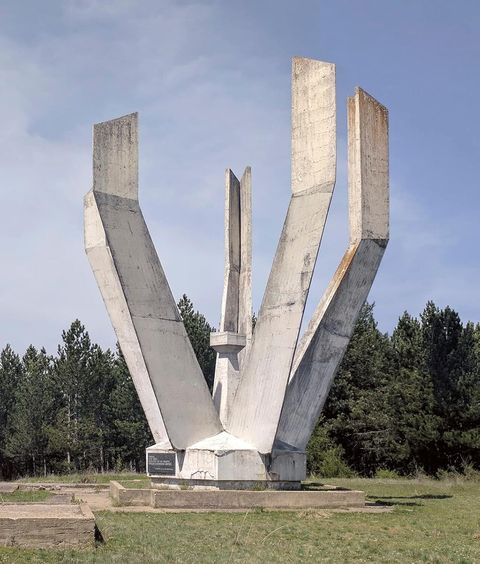 71PtcvZUukL._SL1500_