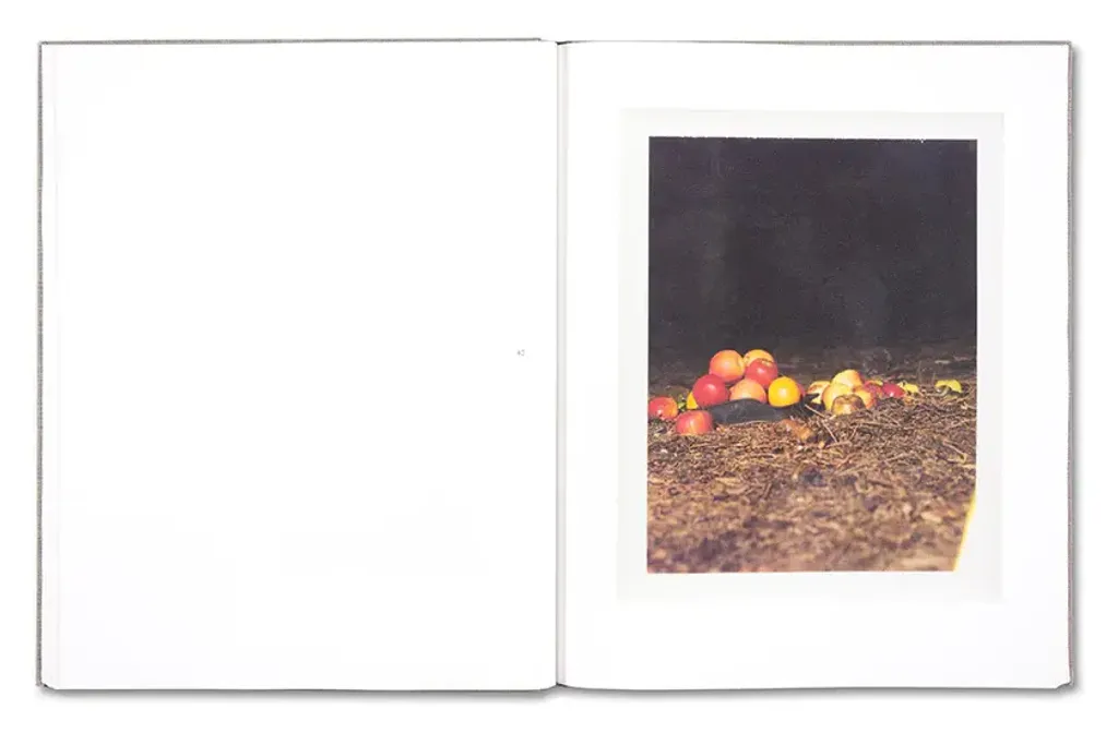 August_15copy