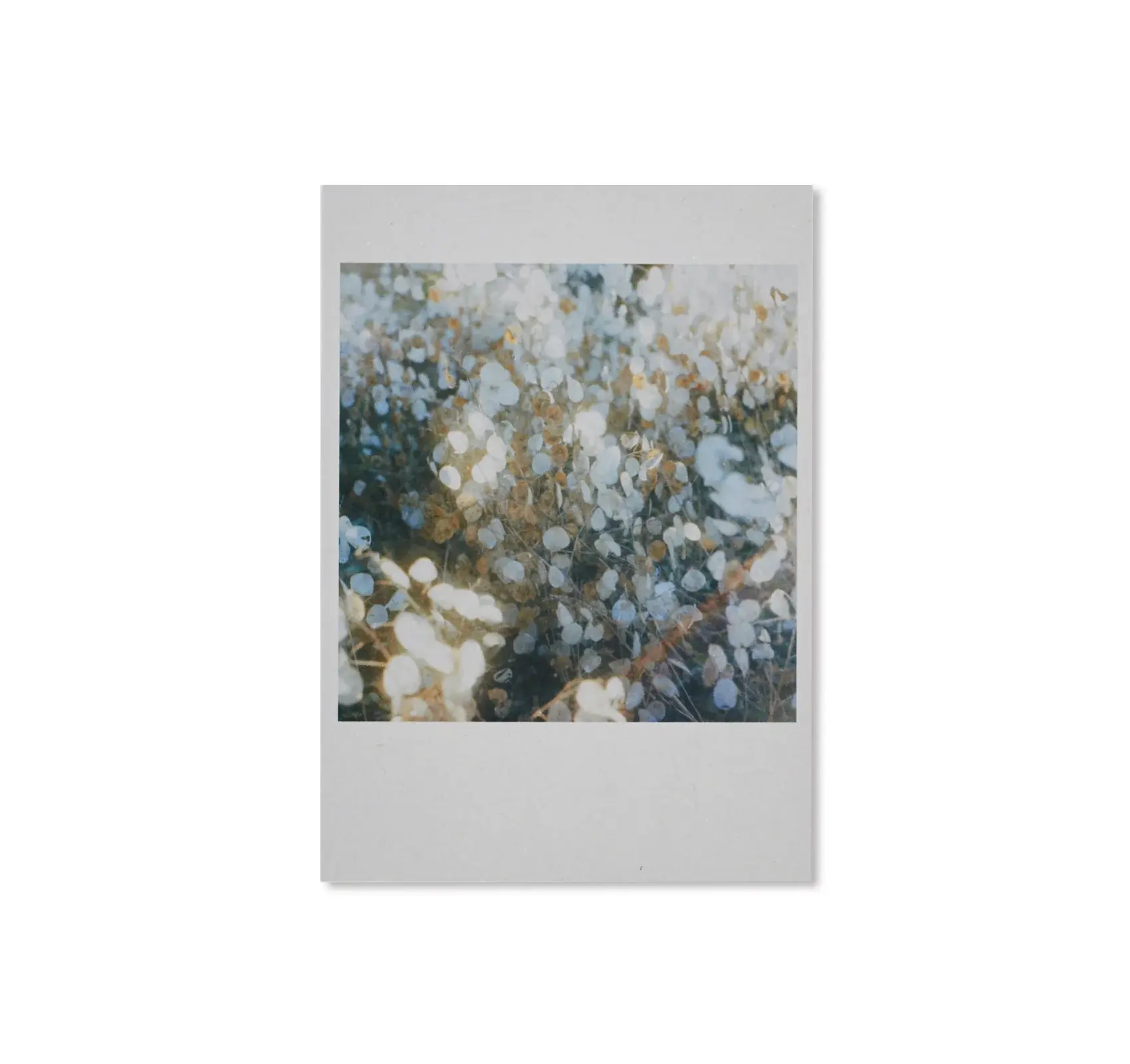 190516_14328