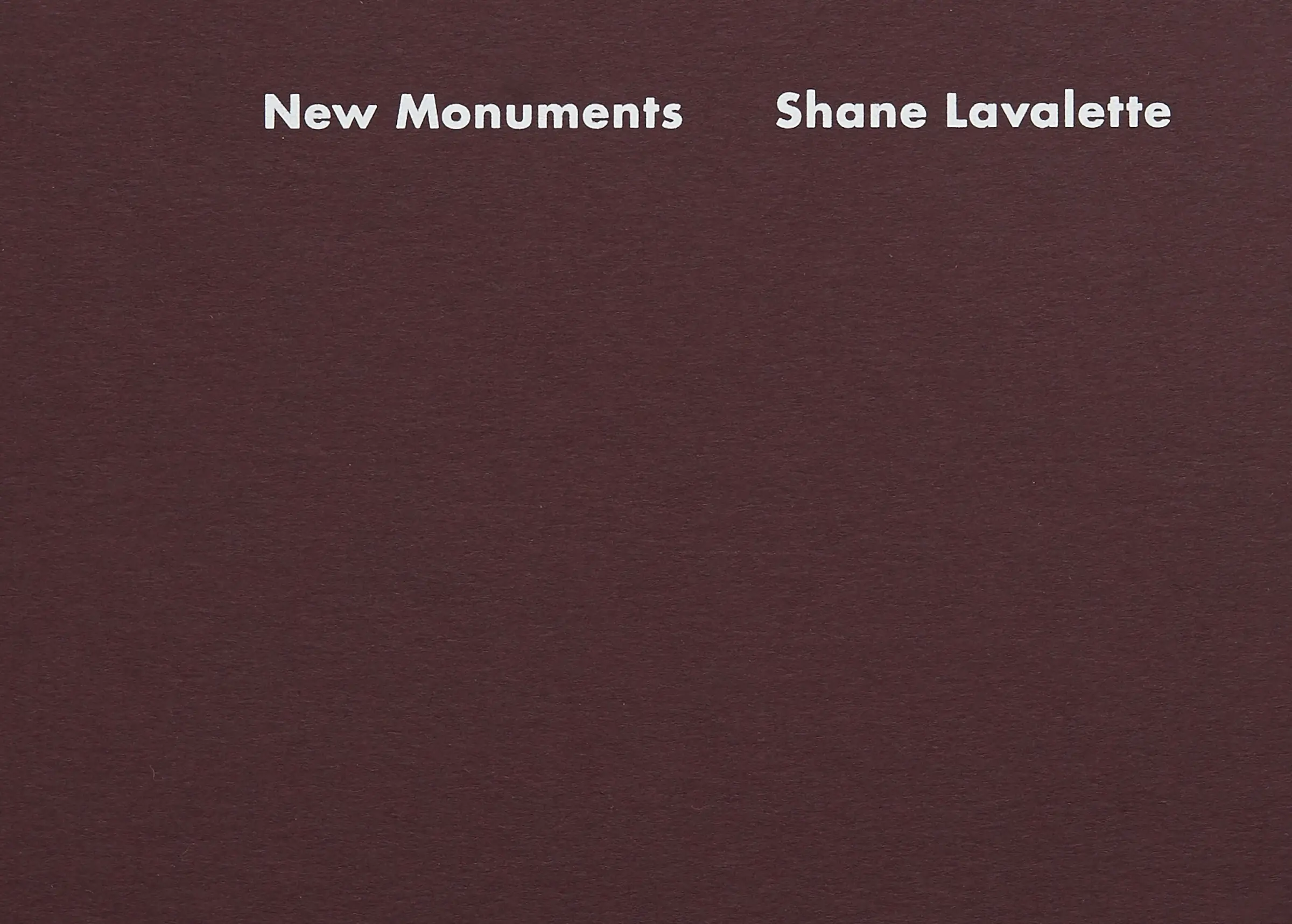LM-Shane-Lavalette-New-Monuments-11