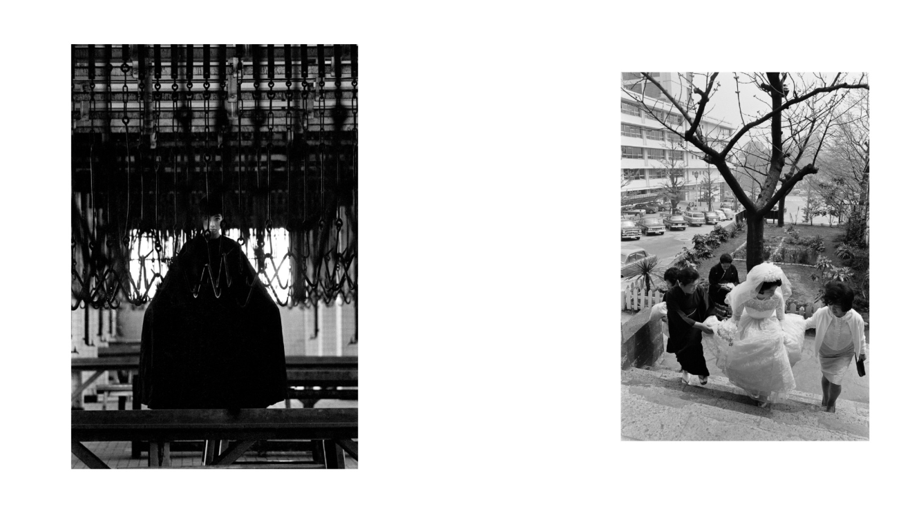日本列島 花乃聲 /櫻乃聲/日本列島 季乃聲　鈴木一雄写真集　3作 Amazon.co.jp: 櫻乃聲: 鈴木一雄写真集 : 鈴木 一雄: 本