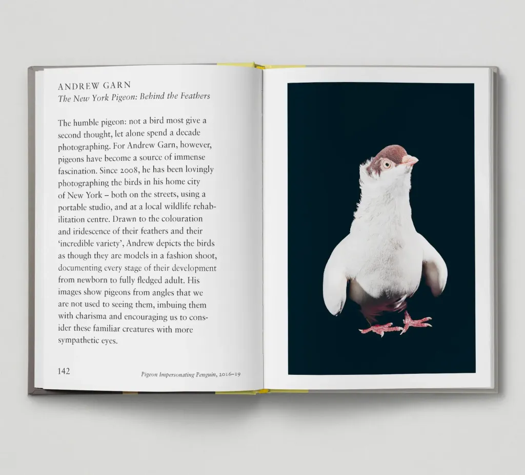 Bird-spread8