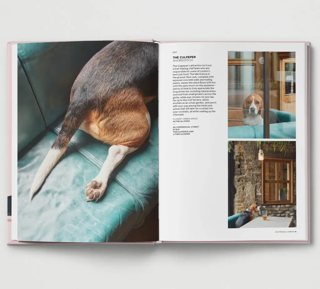 DogFriendlyLondonSpread5