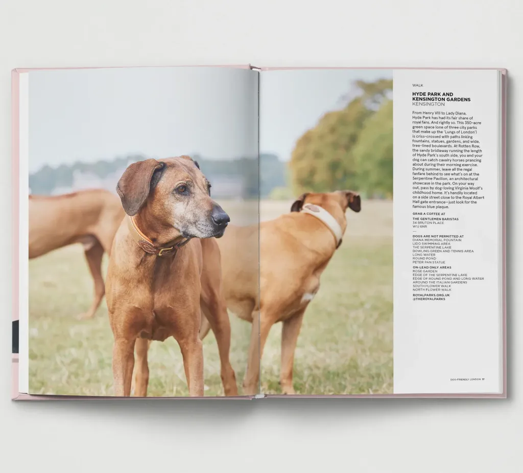DogFriendlyLondonSpread2