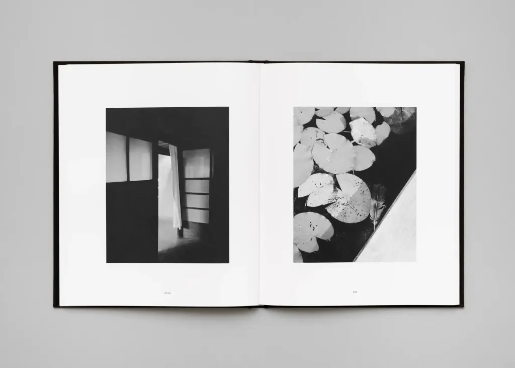 LM-Rich-Stapleton-Penumbra-16