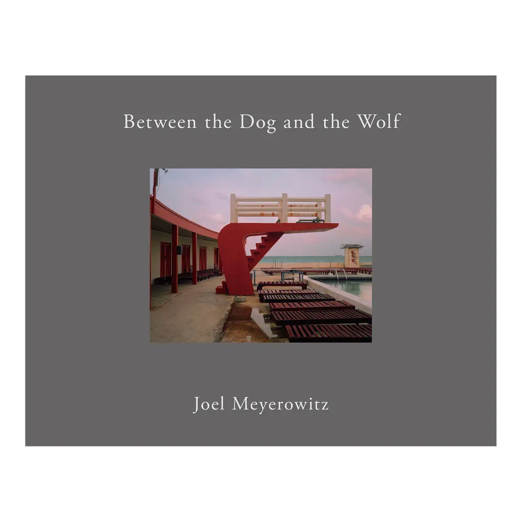 BetweentheDogandthWolf2nd_Cover2_web_2100x