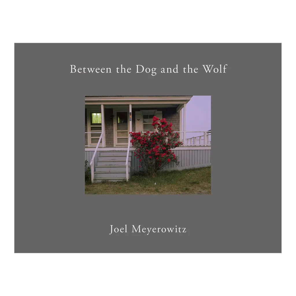 BetweentheDogandthWolf2nd_Cover1_web_2100x