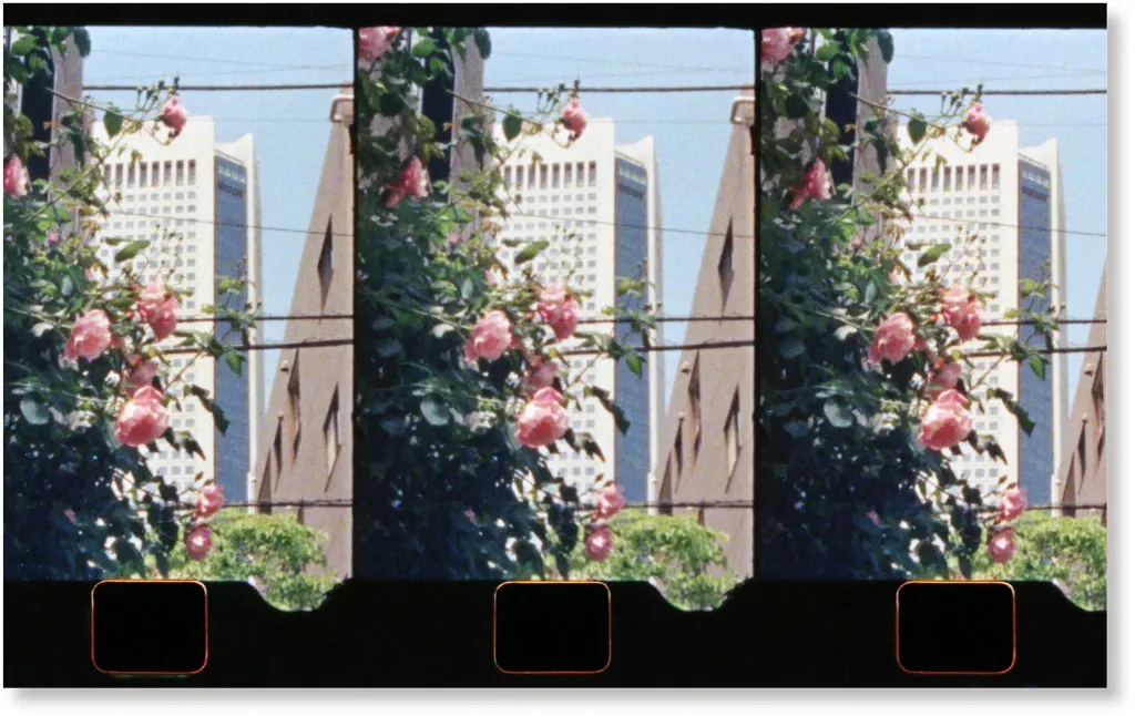 TOKYOSEQUENCE_6_2100x