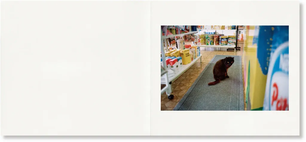 23GregHunt_web_3_2100x