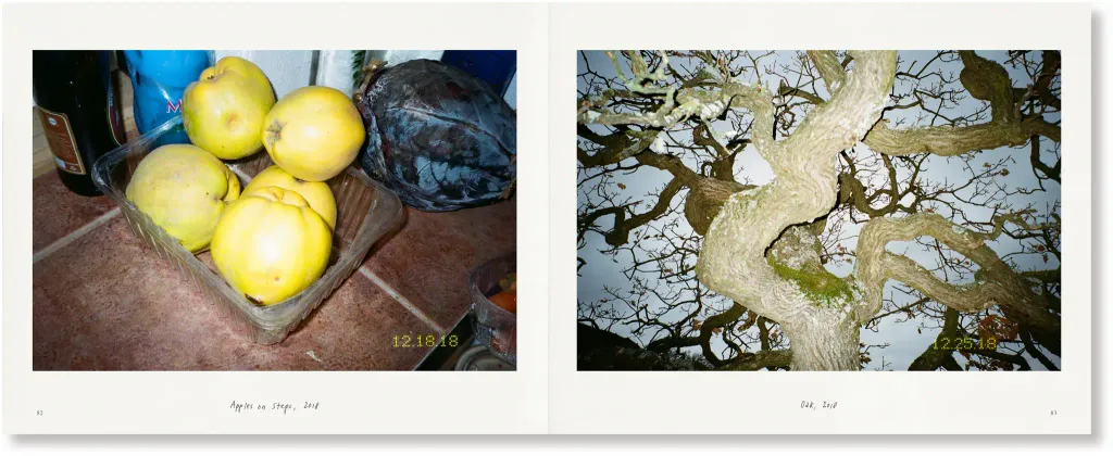 SL_ItWasOnceMyUniverse_7_2100x