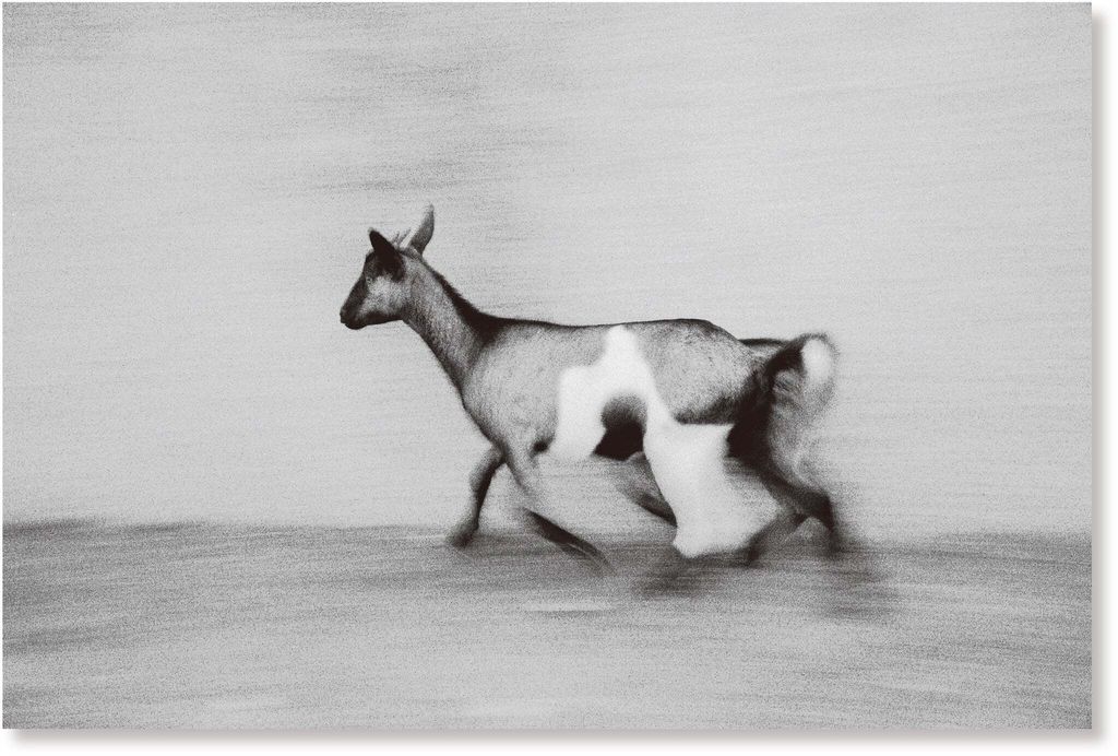 Upmost_6_7d47fc8b-9ea4-48ed-bf45-b42f69b0b617_2100x