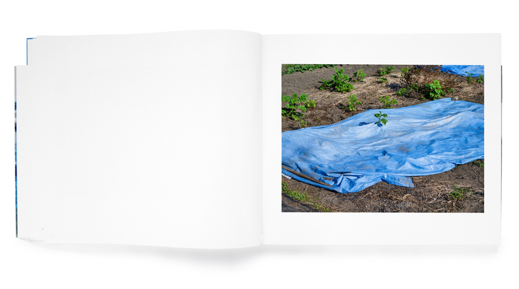 截圖 2025-12-18 下午3.33.28