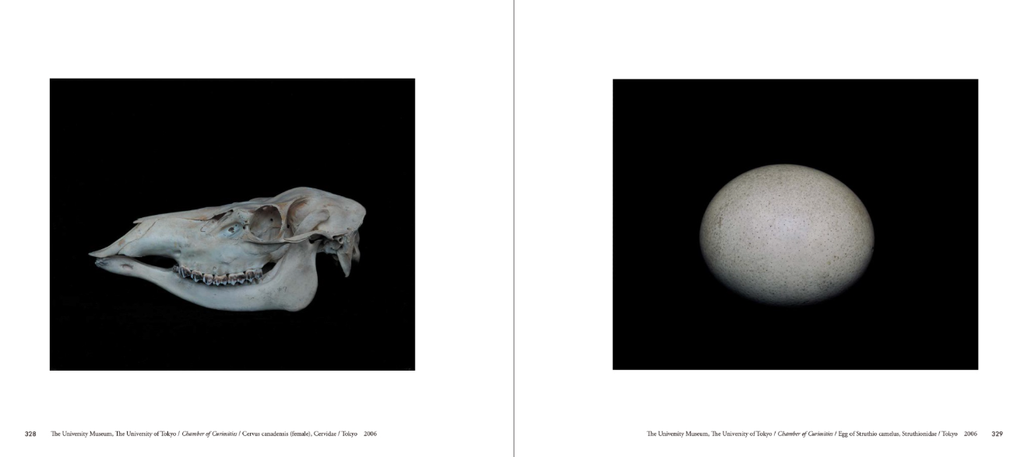 截圖 2025-12-18 下午3.45.34