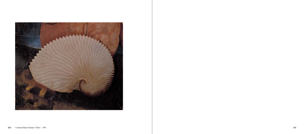 截圖 2025-12-18 下午3.46.22