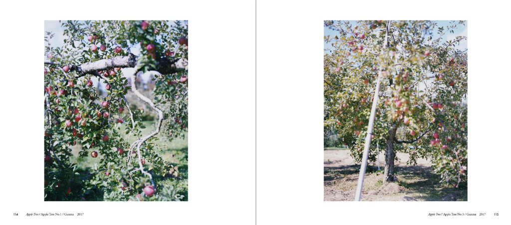 截圖 2025-12-18 下午3.44.38