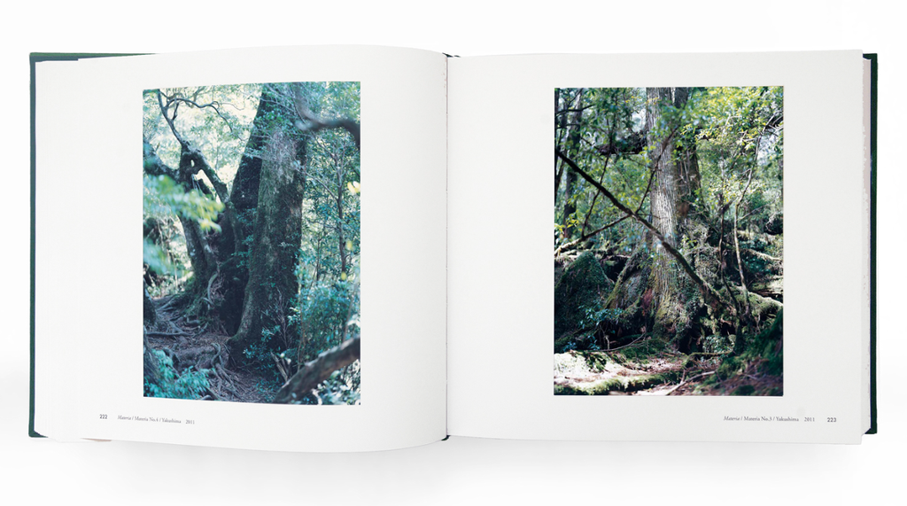 截圖 2025-12-18 下午3.45.07