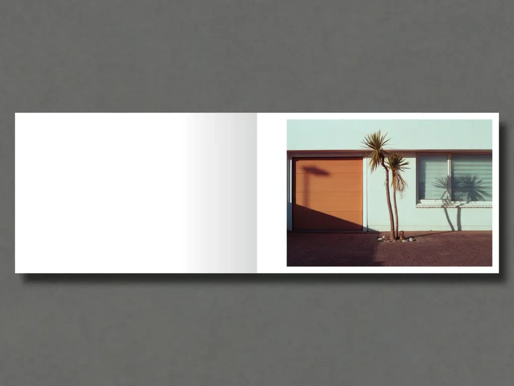 spread1_fbae04de-bff8-4b6c-ac85-7e915939ee49