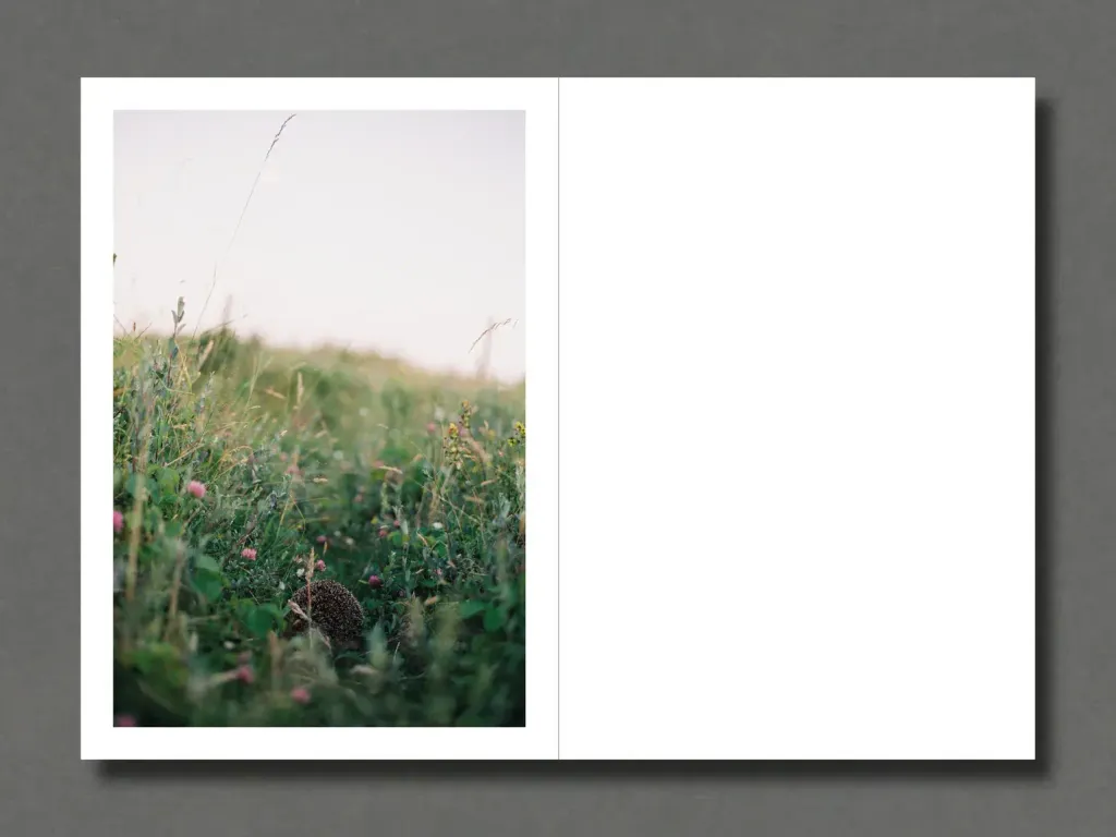 3_43d66acb-2aca-4936-a0b5-3d8741ff153b