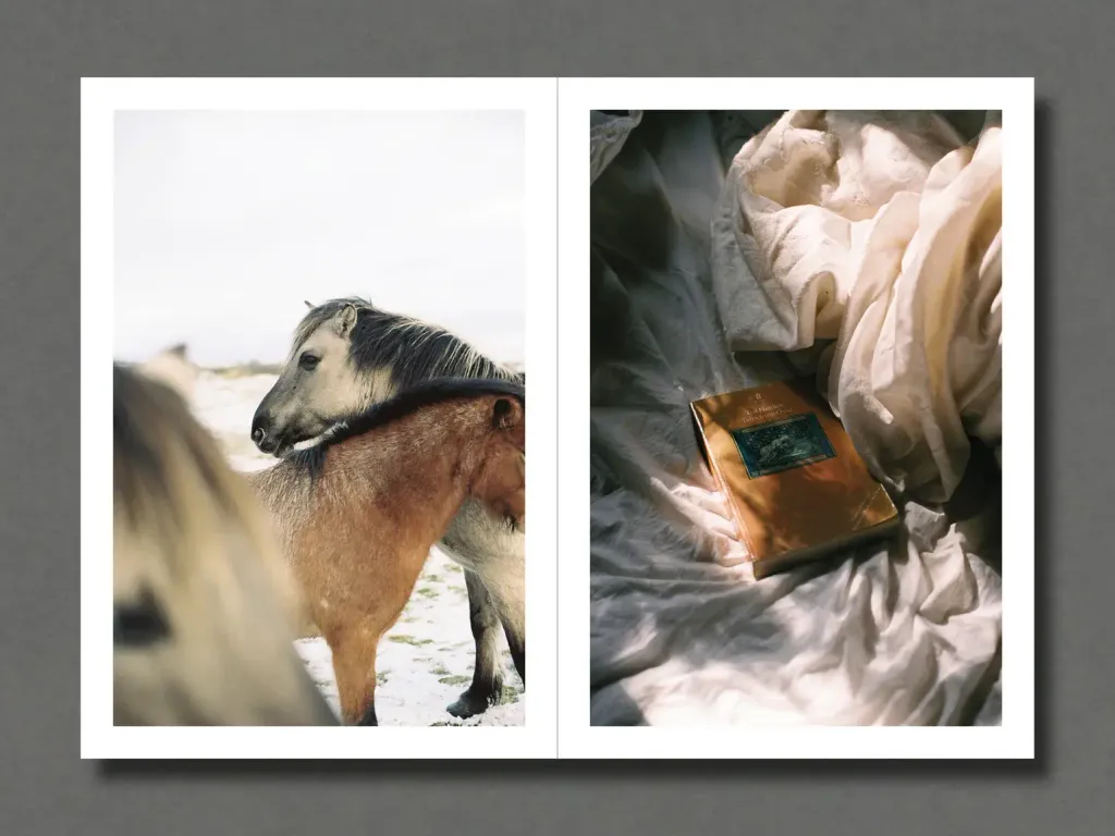 2_abe715e3-44dd-4867-b99d-fd0a2ce2d417