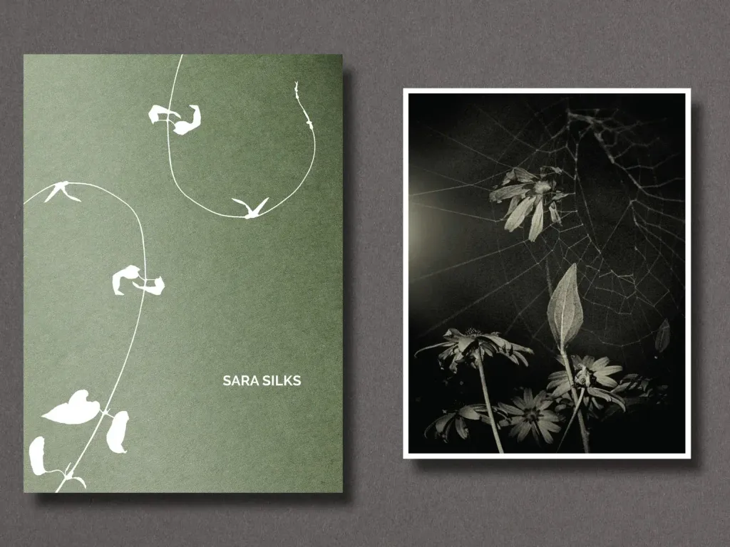 ssNightWalkBlack-EyedSusans