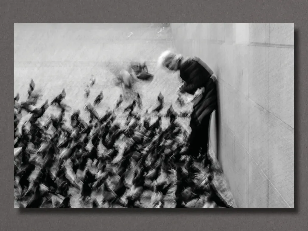 44_da482e72-4433-4196-a4f0-81a2de2f34be