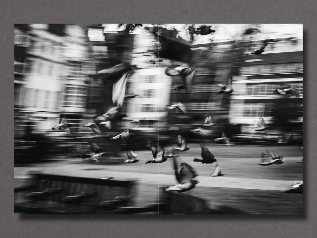 11_b389daf4-3559-4d3b-8d42-836313ac04ff