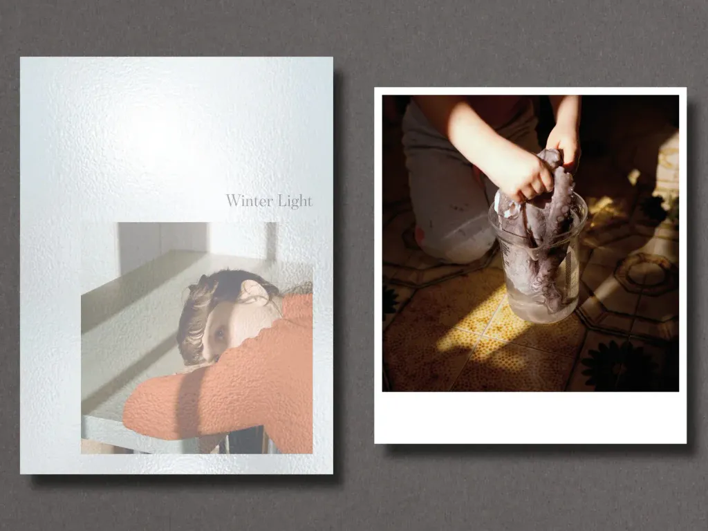 RiccardoFregosoWinterLightCover2Print1