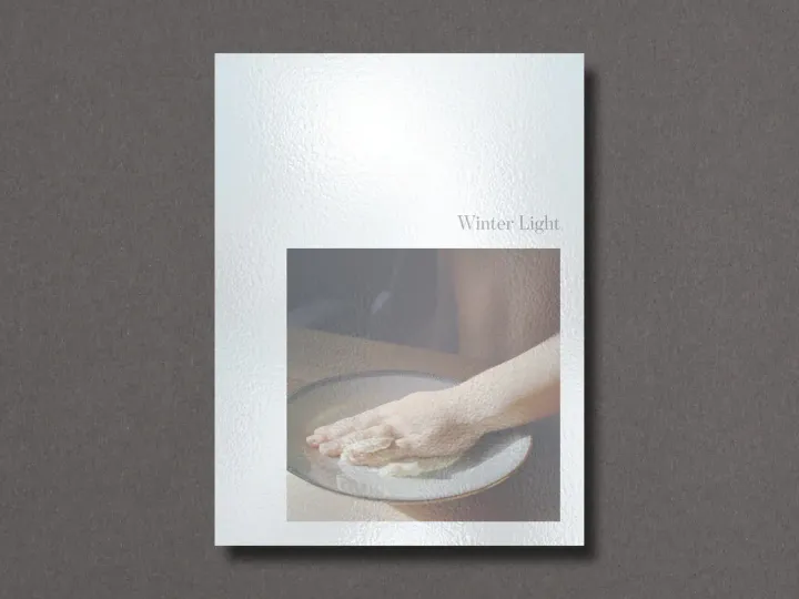 RiccardoFregosoWinterLightCover1