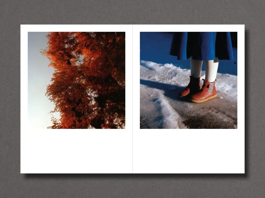 RiccardoFregosoWinterLight6