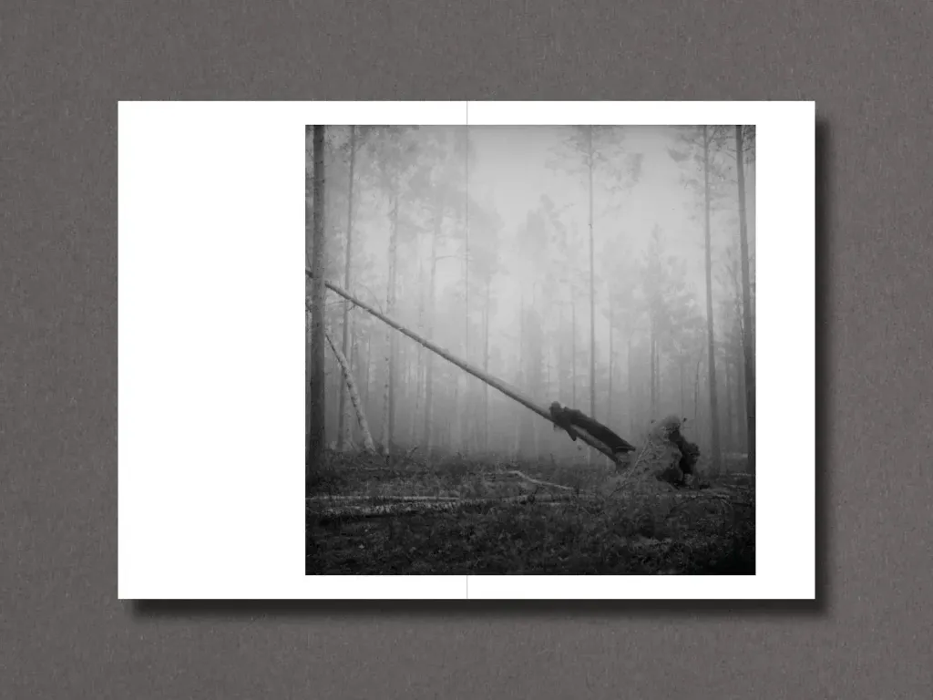 p3_a3eeafe7-cea7-4ae1-9af6-2dcfab6c8287