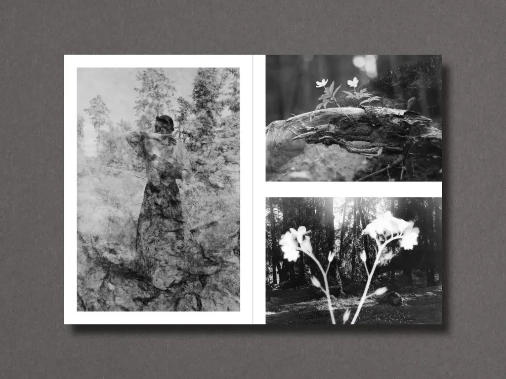 p4_431c467c-c6a0-4f19-9ce0-b201f2aa0adc