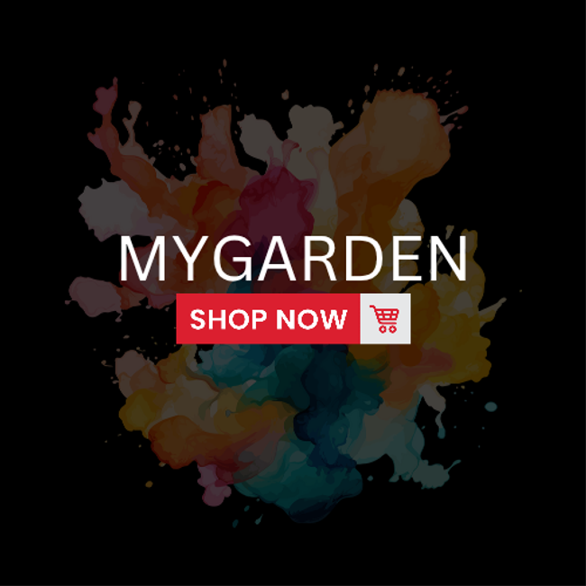 Tyara NY Shoppe | Featured Collections - 