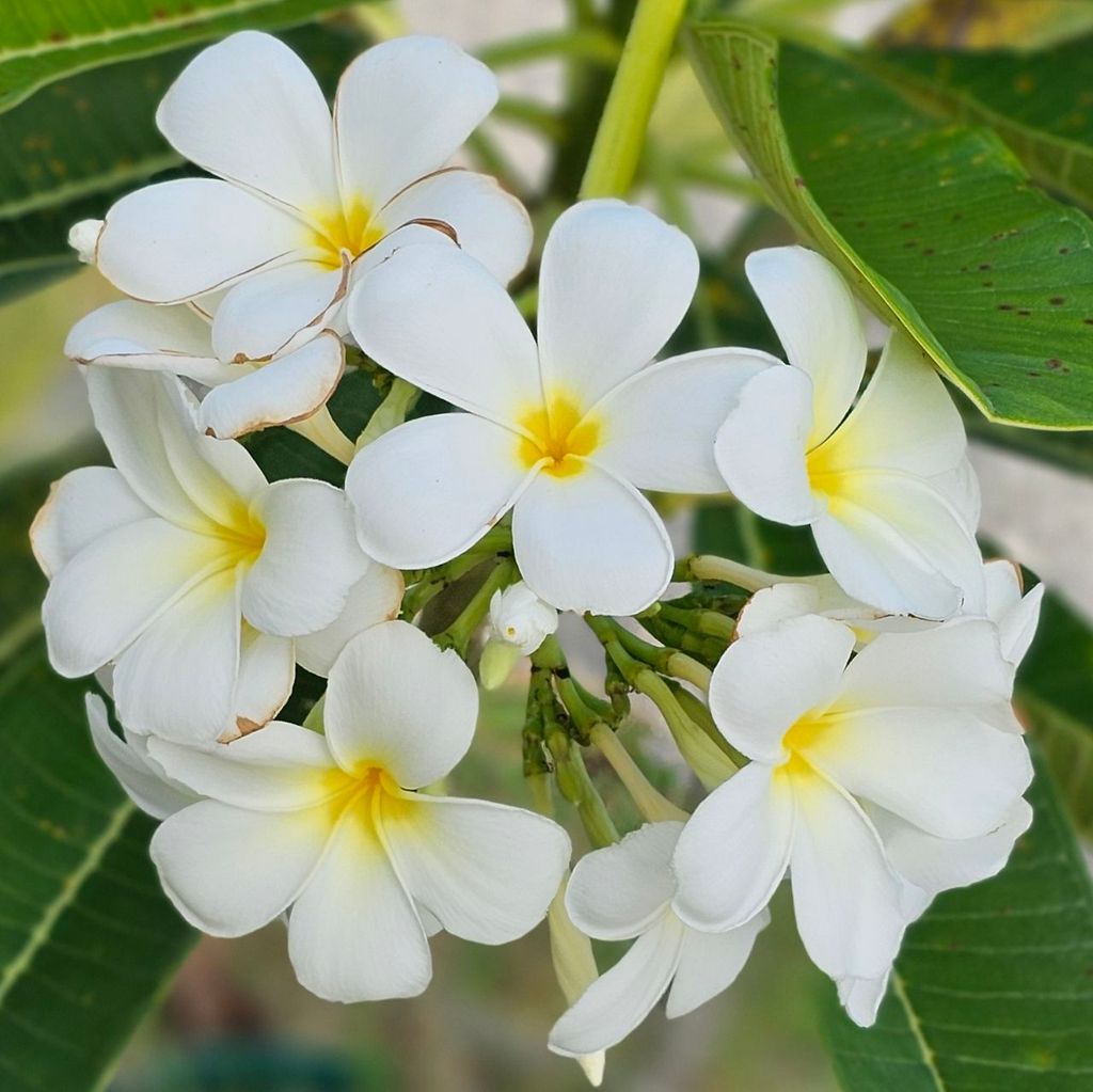 IMG_20251203_132125_937