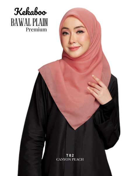 1_20260213_210307_0000