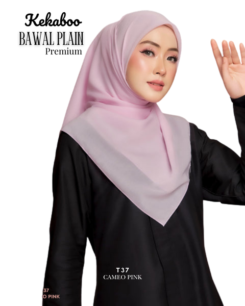 43_20260213_210308_0042