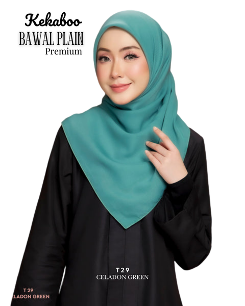 51_20260213_210308_0050