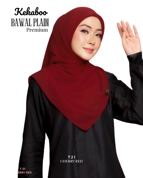 58_20260213_210308_0057