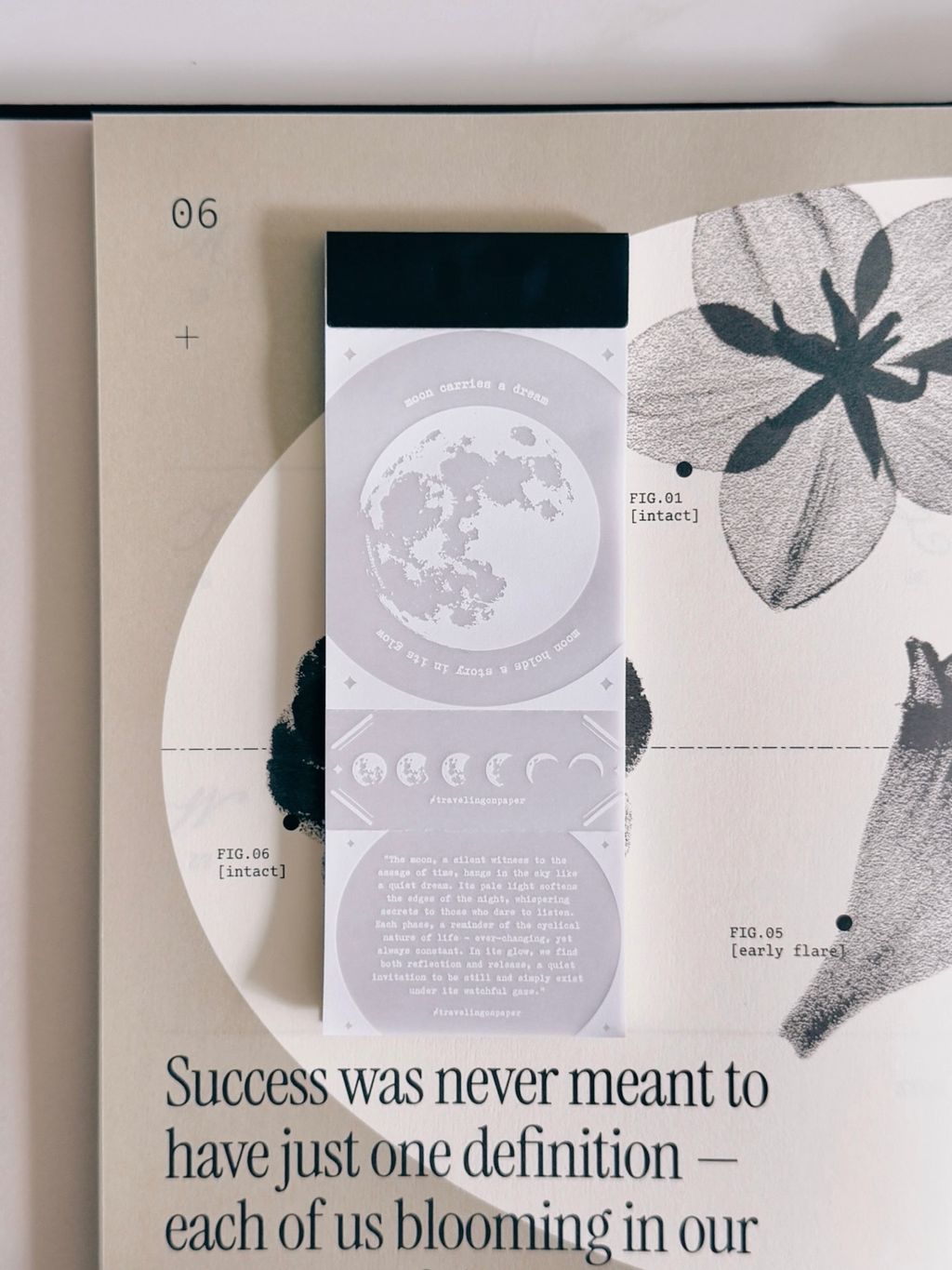 image_60F6E58E-E7FE-4592-9D1E-1721415847BE_1773886273