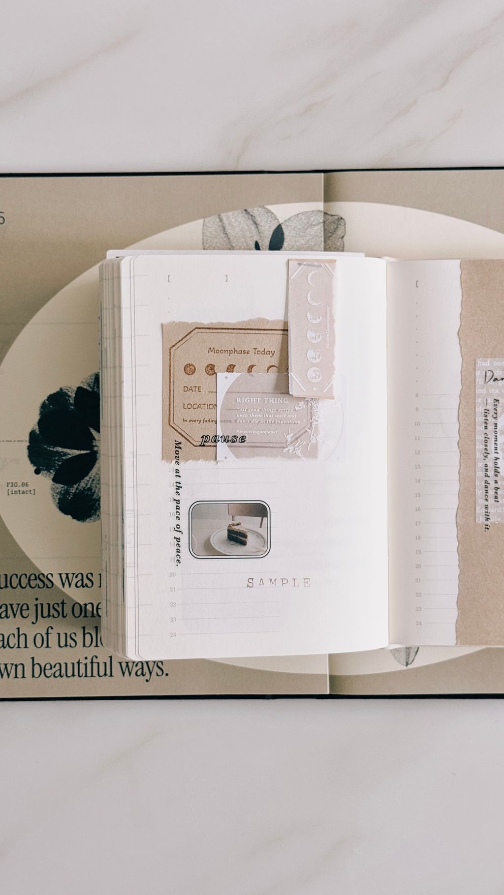 image_81C489F2-8DCE-40E2-9444-90ABD4673B52_1773886273